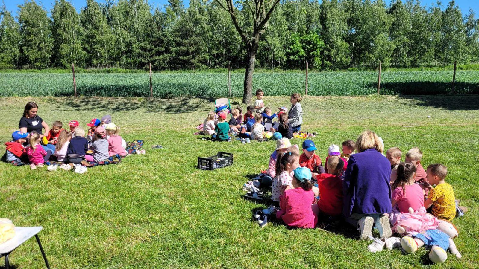 Piknik