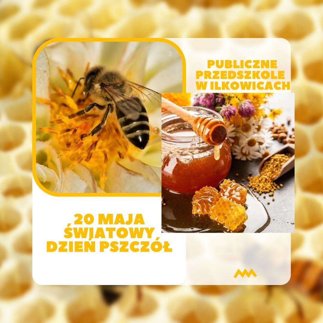 Światowy Dzień Pszczół
