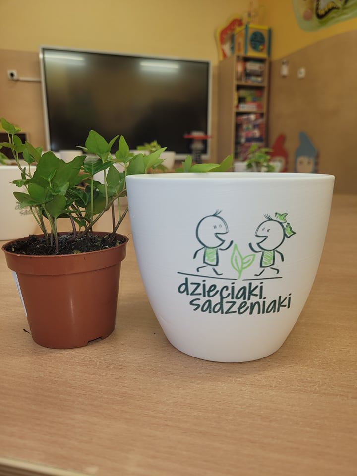 Dzieciaki Sadzeniaki