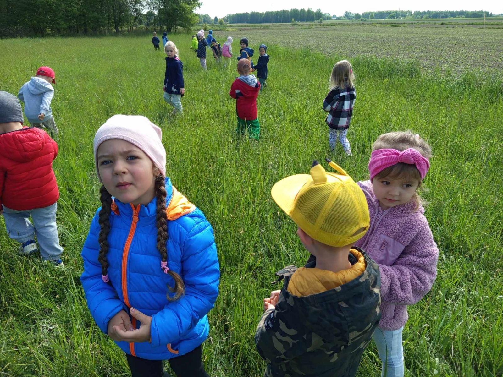 Biedronki i majowa łąka